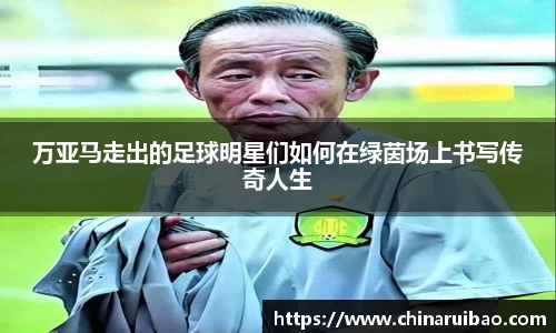 EMC易倍体育官方入口